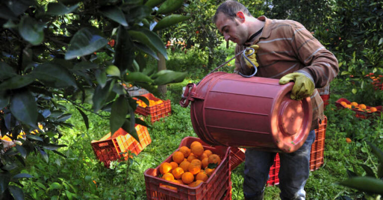 Greek Farmers Make It Clear: If We Go Away, You Don’t Eat